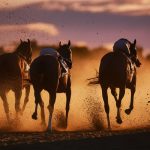 predicting longshot betting wins