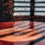 dust particles ignite freedom