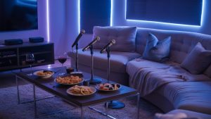 organize fun singing party